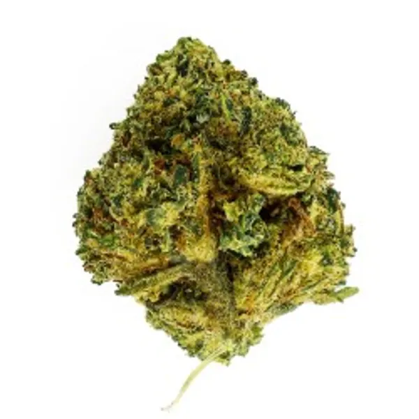 Fleurs CBD indoor, greenhouse ou outdoor : pourquoi de tels écarts de prix ?