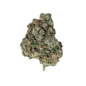 A Cali Premium
