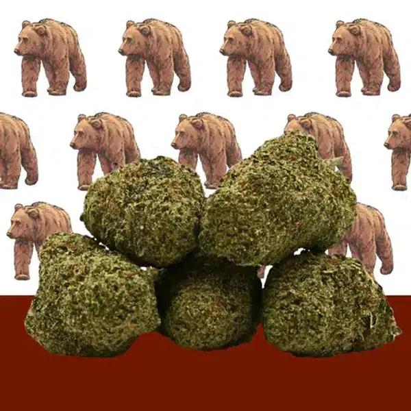 A Cali Premium Indoor