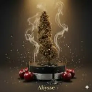 Abysse Premium