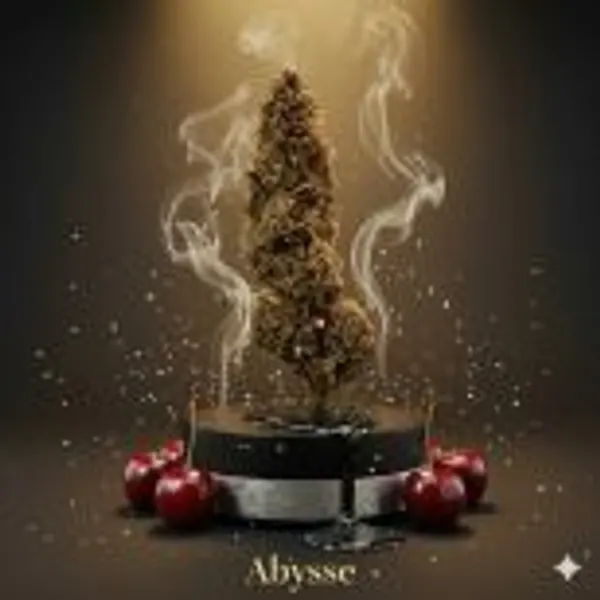 Abysse Premium