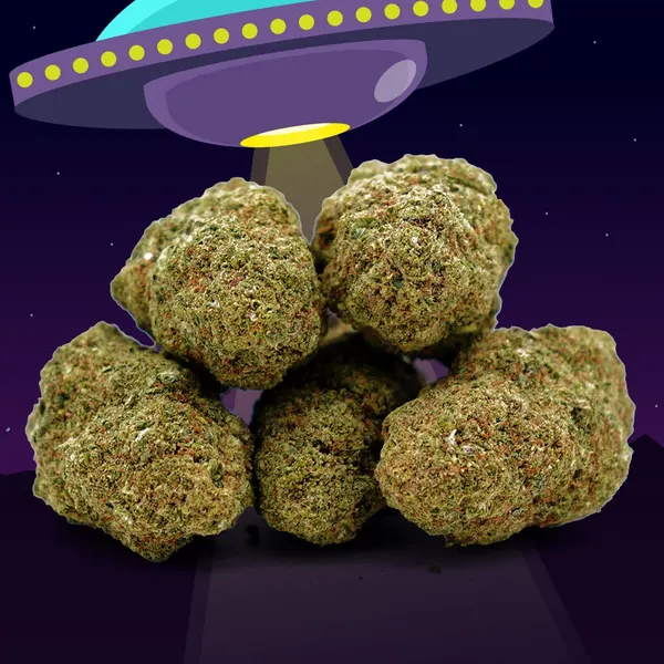 Alien Kush Indoor