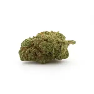 Alien OG