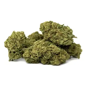 Amnesia Haze