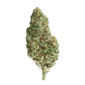 Amnesia Kush