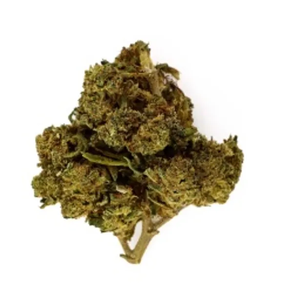 Amnesia Kush Indoor