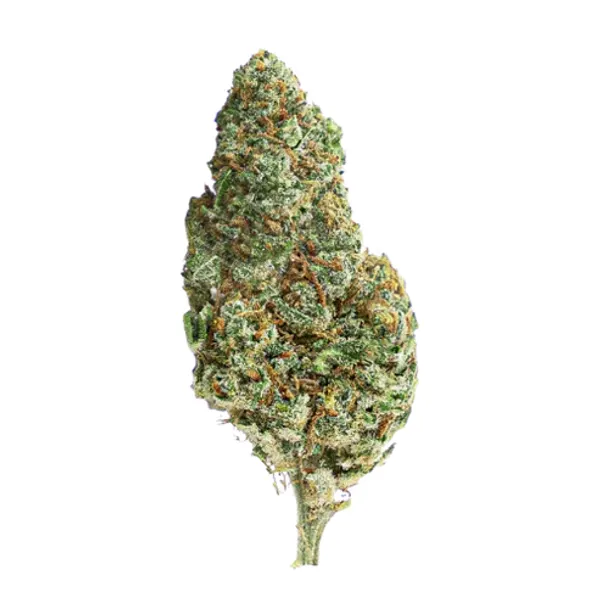Amnesia Kush