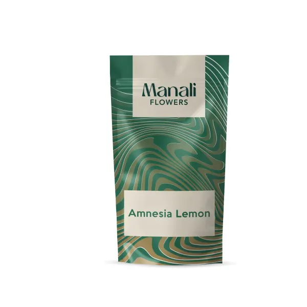 Amnesia Lemon