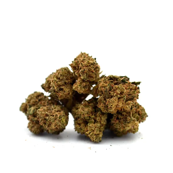 Amnesia Pop Corn