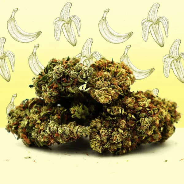 Banana Cream