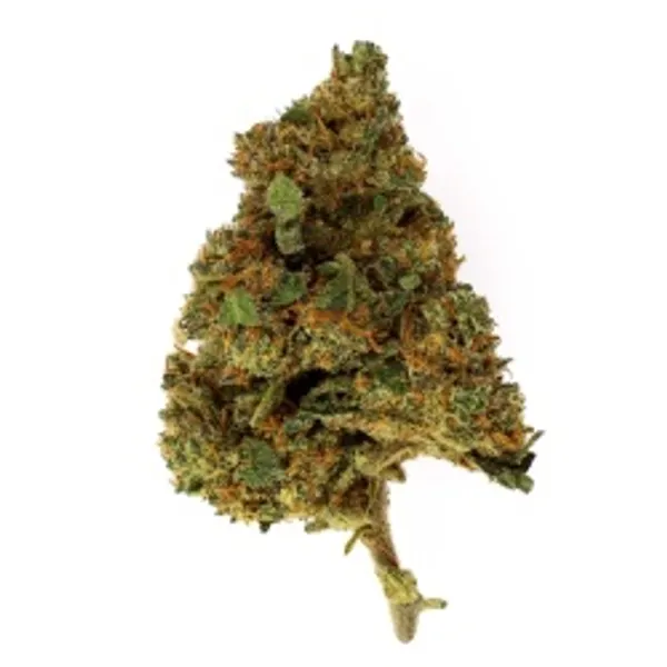 Banana Kush Indoor