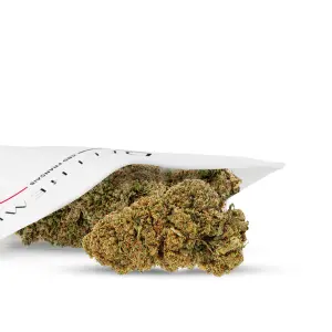 Banana Smash Indoor