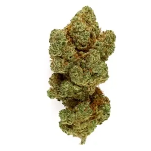 Big Bud Hydroponique Indoor