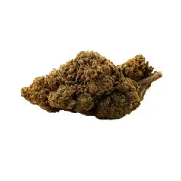 Black Domina