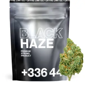 Black Haze