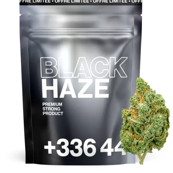 Black Haze