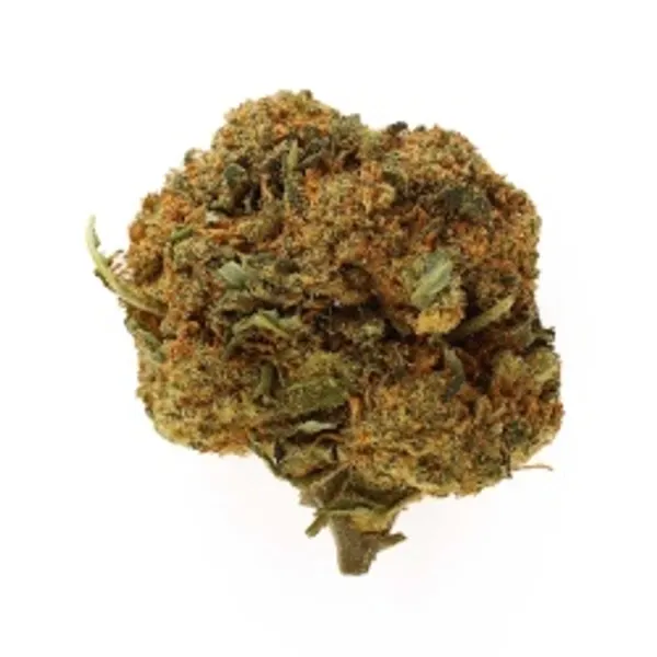 Blue Dream Indoor