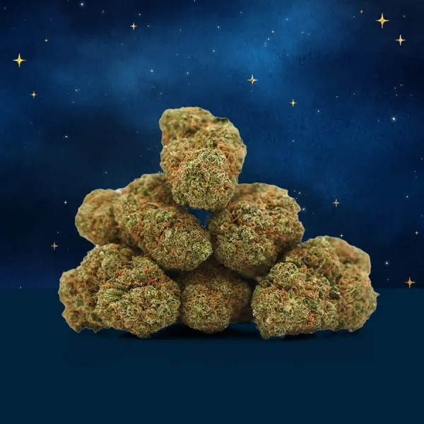 Blue Dream Hydroponique Indoor