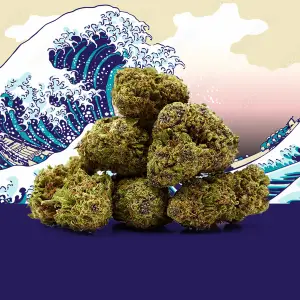 Blue Zushi