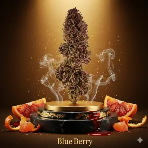 Blueberry Premium