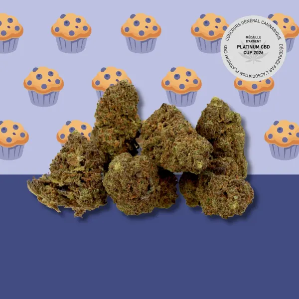Blueberry Muffin