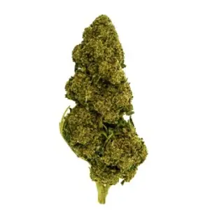 Bubba Kush Indoor