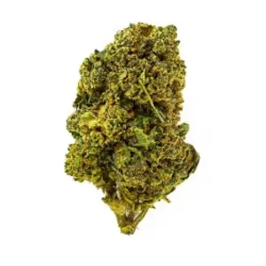 Budda Zen Indoor