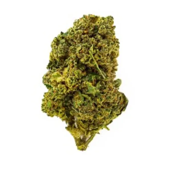 Budda Zen Indoor