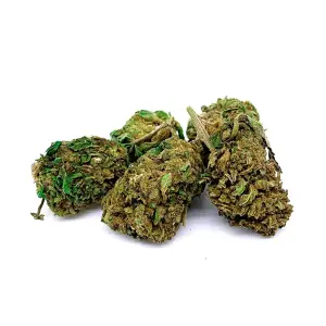 Buddha Cheese