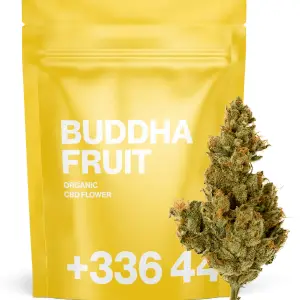 Buddha Fruit