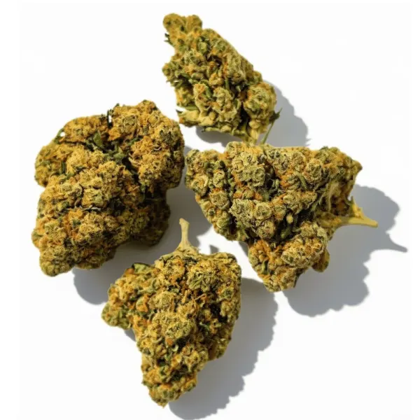 Buddha Fruit Premium Indoor
