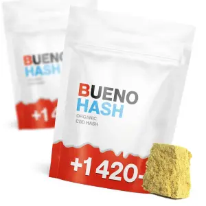 Bueno