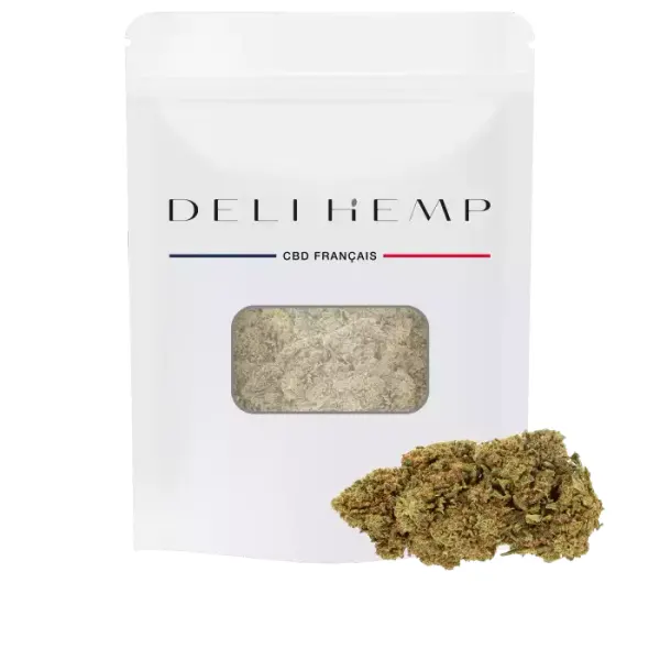 Cali Dream Premium Indoor