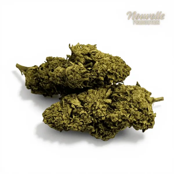 California Pink Haze NL 1 Premium