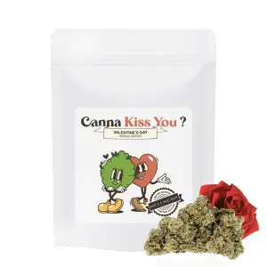Canna Kiss You Indoor