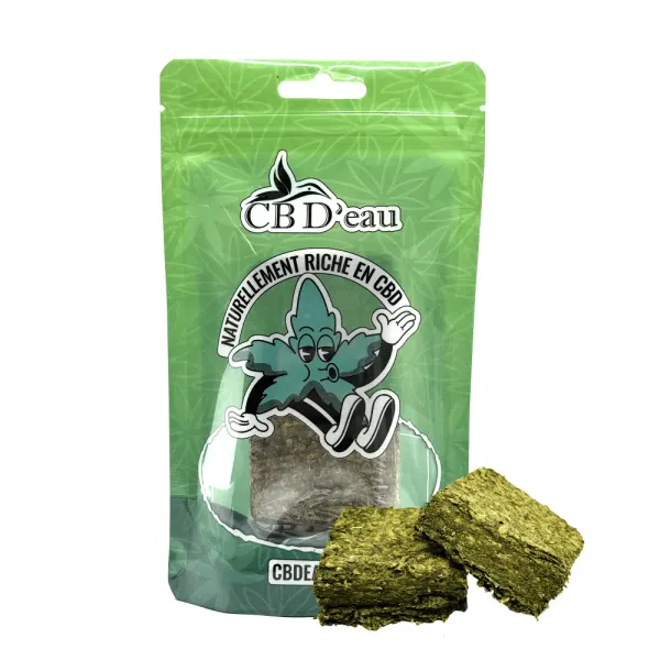 Canna Plaquette Indoor