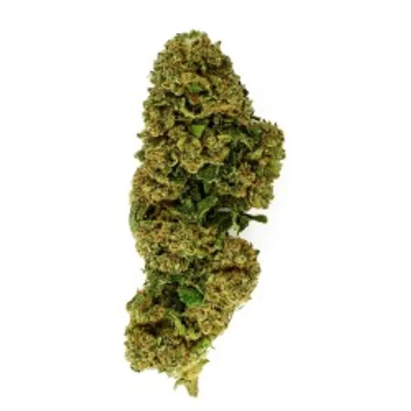 Cannabomb Indoor