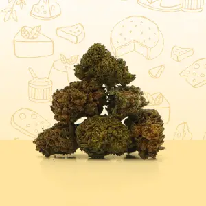 Cheese Small Buds
