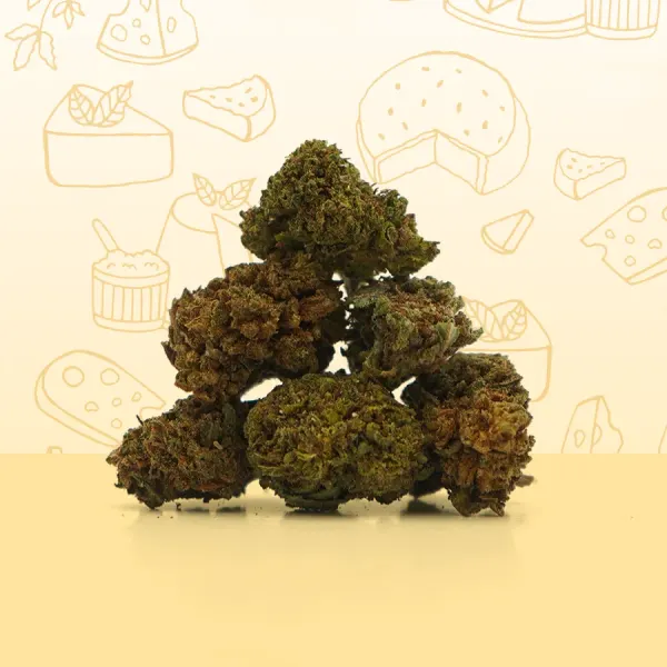 Cheese Small Buds