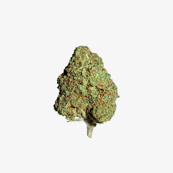 Cheesecake Small Buds