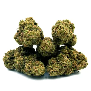 Cookie Kush Indoor