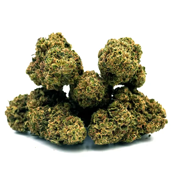 Cookie Kush Indoor