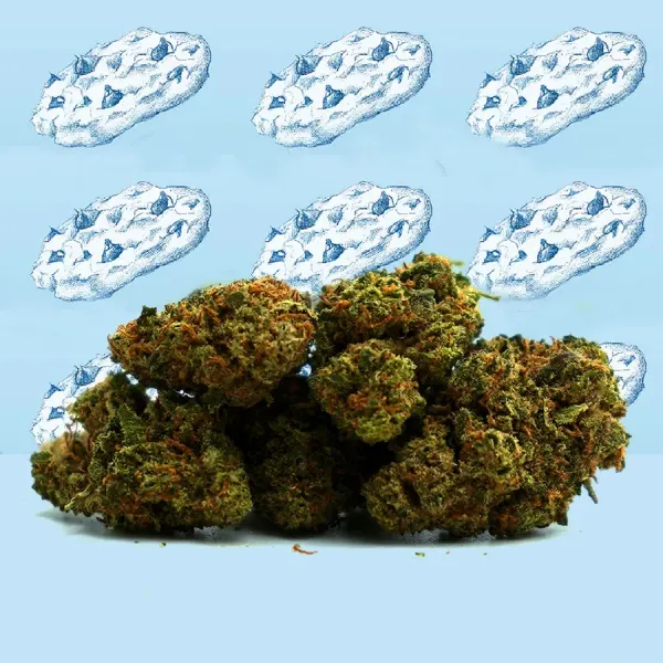Cookie Kush Small Buds