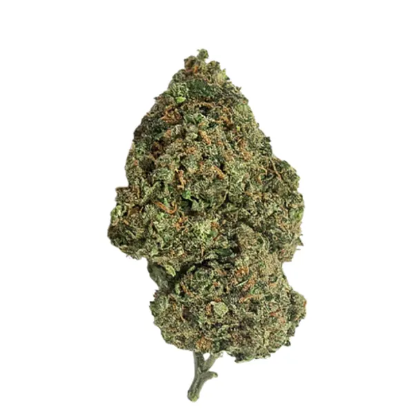 Critical 2 0