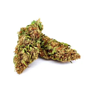 Critical
