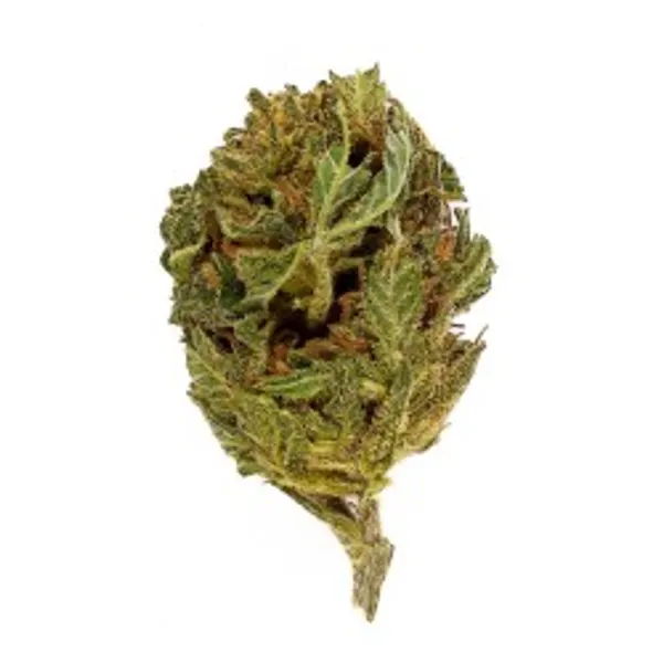 Critical Small Buds