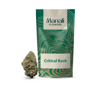 Critical Kush