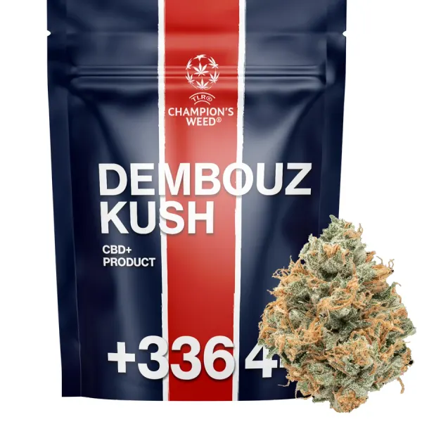 Dembouz Kush Boosté