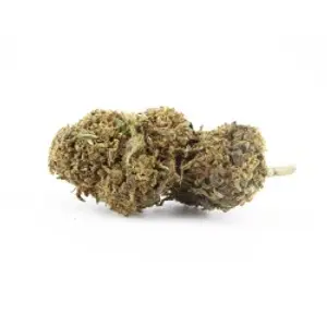 Diesel Tonic