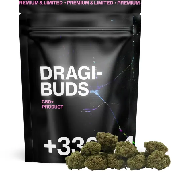 Dragibud Boosté Indoor